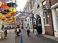 IMG-2381.jpg