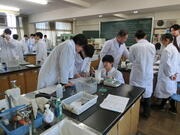 化学CIMG4247.JPG