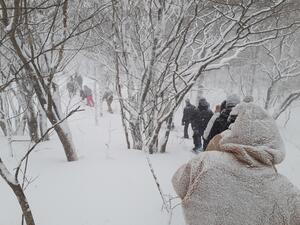 20230125_114715.jpg