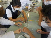 DSCN0296.JPG