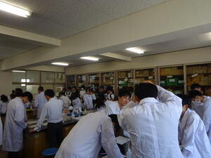 DSC01828.JPG