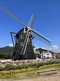IMG-2376.jpg