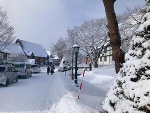 IMG_9927.jpeg