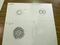 4BF48012-B354-494A-A27A-818D5BD91389.jpeg