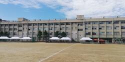 IMG_20230531_151514.jpg