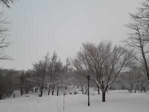 20230127_070545.jpg