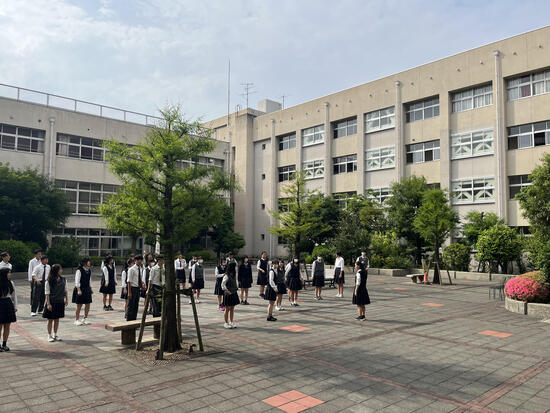 IMG_4747.jpeg