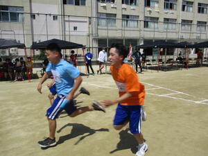 IMG_3819.JPG