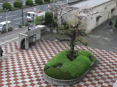 IMGA0077.JPG