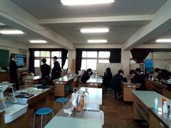 IMG_20250411_145241.jpg