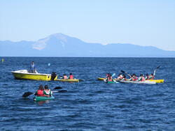 IMG_4212.JPG