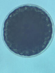 IMG_1577.jpeg