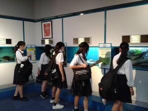 IMG_0093.jpeg