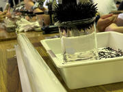 IMG_1560.jpeg