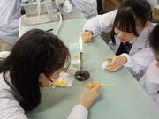 DSCN0281.JPG