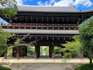IMG_0125.jpeg
