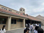 IMG_1531.jpeg