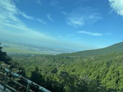 IMG_1082.jpeg
