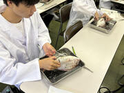IMG_1596.jpeg