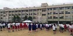 IMG_20230531_124416.jpg