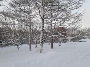 20230126_070224.jpg