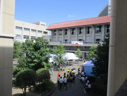IMG_5197.JPG