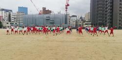 IMG_20230531_104234.jpg