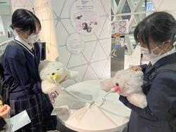 IMG_1129.jpeg