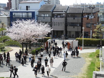 DSCN2548.JPG