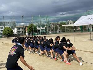 12  IMG_1450.JPG