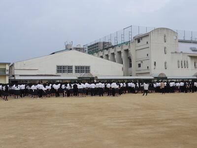 DSCN8009.JPG
