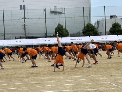 62_IMG_2207.JPG