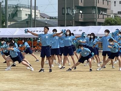 51_IMG_2144.JPG