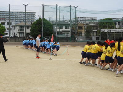 綱引き１