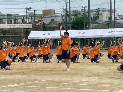 61_IMG_2218.JPG