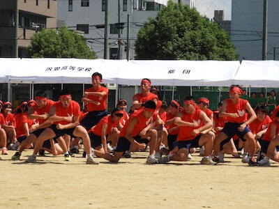 DSCN8743.JPG