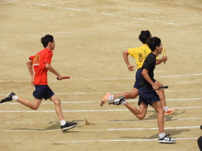 DSCN9387.JPG
