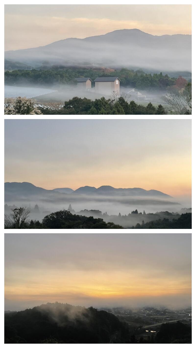 19AF01C3-92D8-4A85-AD24-8FAD5E280CCE-COLLAGE.jpeg