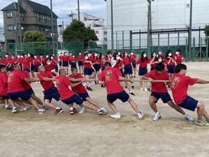 4 IMG_1555.JPG