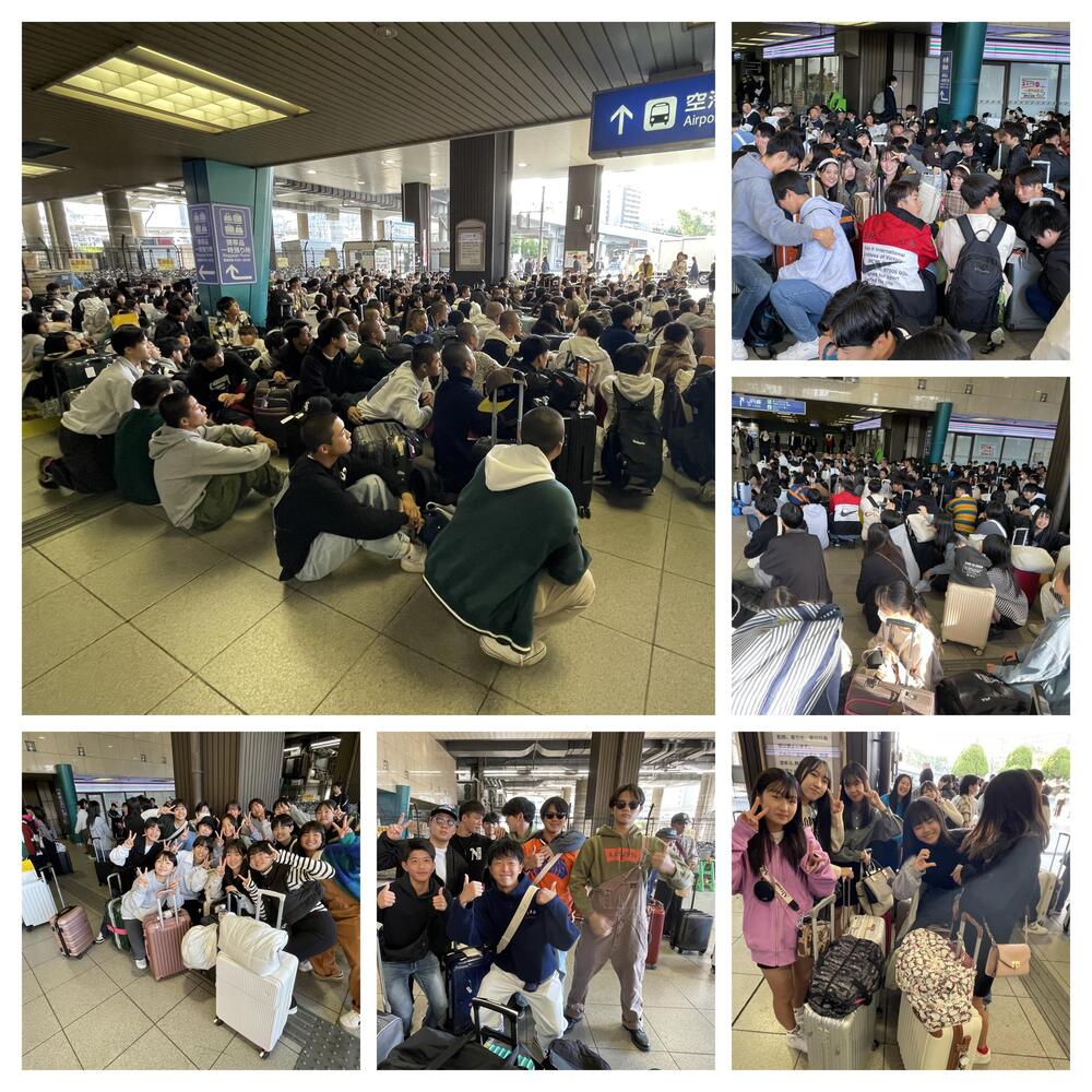 6158E508-657F-45EC-AE3D-99940EE4082F-COLLAGE.jpeg