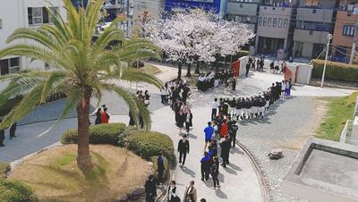 入学式花道.JPG