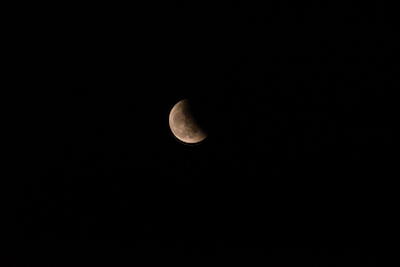 DSC_0984.JPG