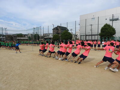 綱引き６