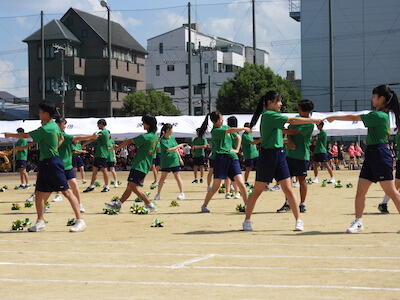 DSCN8600.JPG