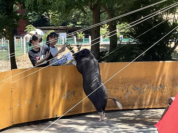 IMG_1697.jpeg