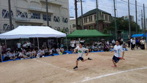 DJI_0413.MP4.00_00_55_03.静止画001.jpeg