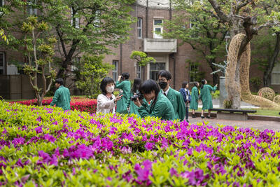 P1106538e.jpg