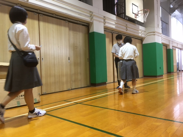 主権者_投票.png