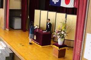 IMG_3498.JPG