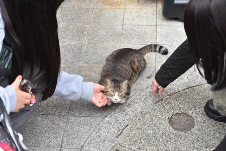S__323305490.jpg